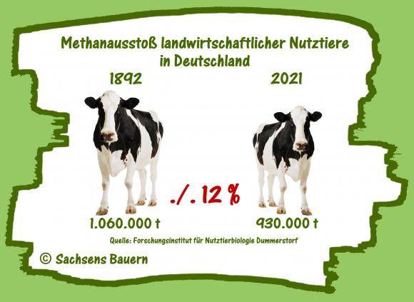Methanausstoß-Nutztiere.jpg